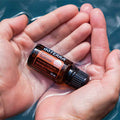 doTERRA Endless Summer Blend